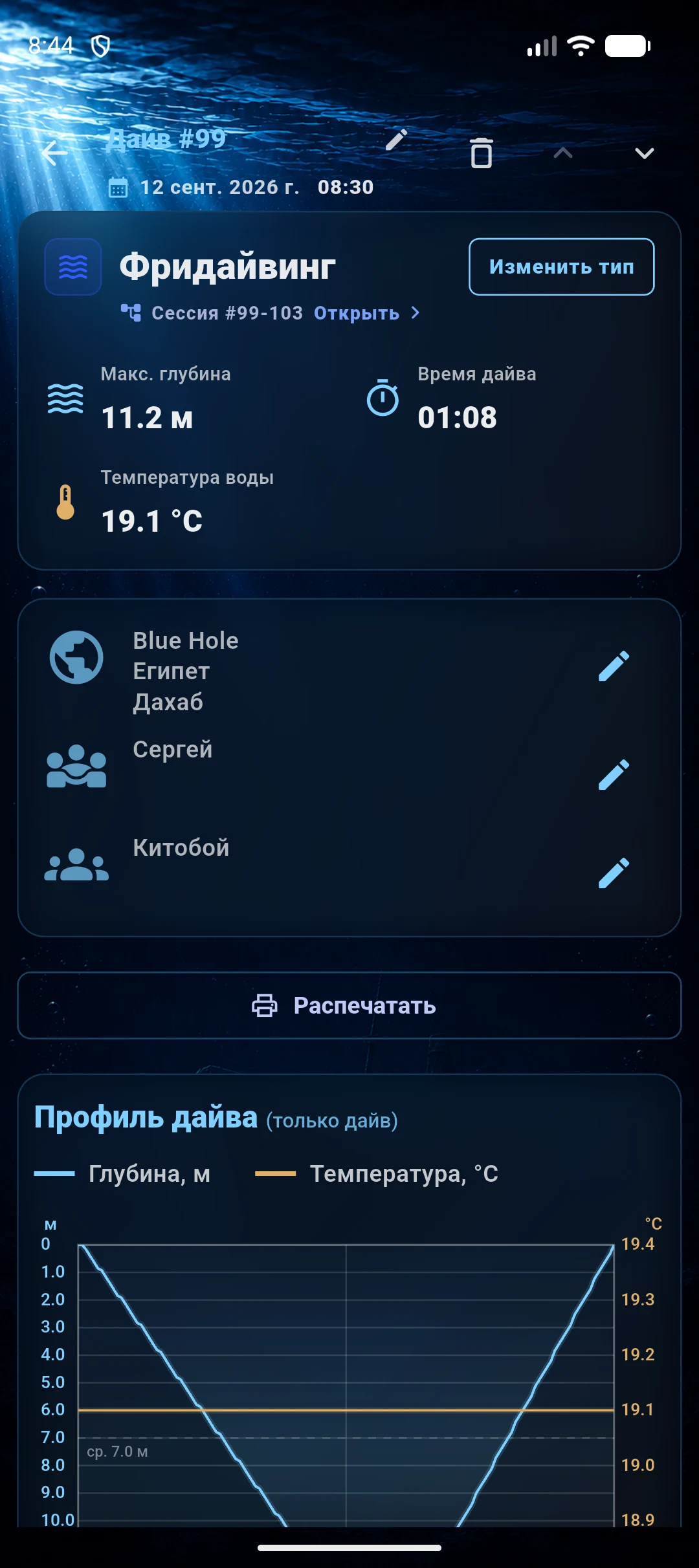 Экран отдельного погружения Depthline с кнопкой печати и профилем глубины